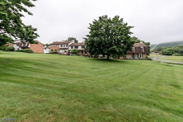 167 Riva Dr, Mansfield Twp, NJ 07840 - view of green lawn