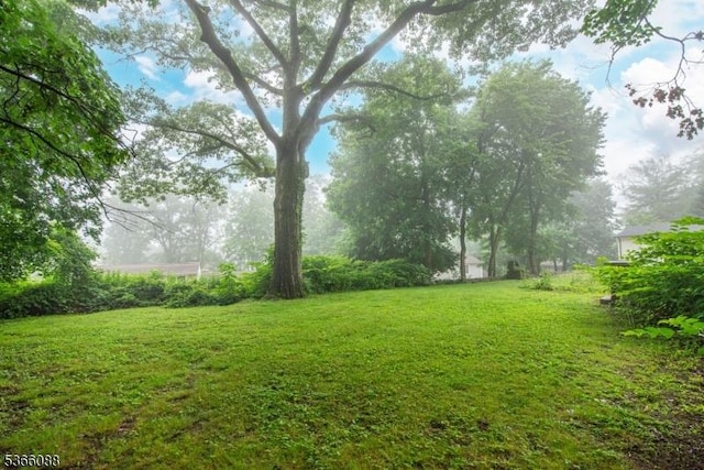 24 Hillcrest Rd, Mountain Lakes Boro, NJ 07046 - view of green lawn