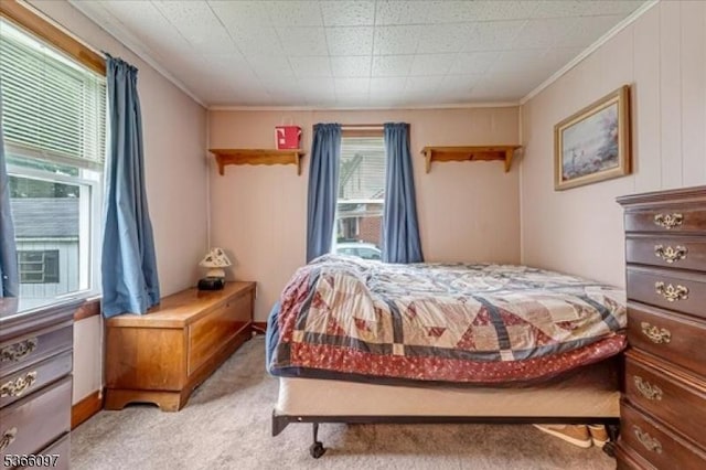 159 Aurora St, Lopatcong Twp, NJ 08865 - bedroom featuring ornamental molding and light carpet