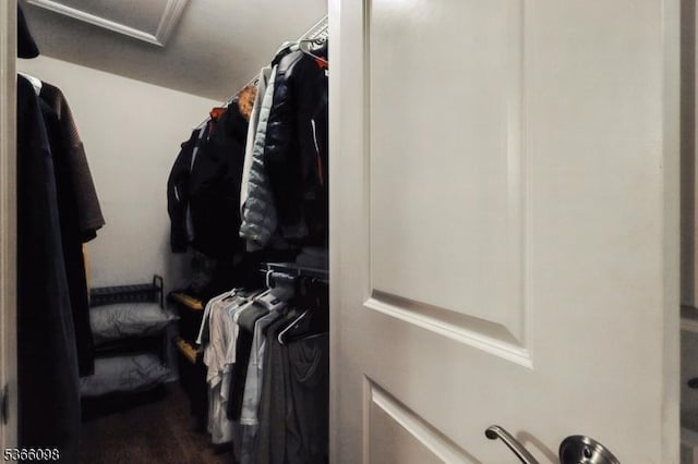 28 Elston Ct Unit 28, Wanaque Boro, NJ 07420 - spacious closet featuring attic access and wood finished floors