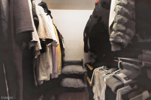 28 Elston Ct Unit 28, Wanaque Boro, NJ 07420 - view of spacious closet
