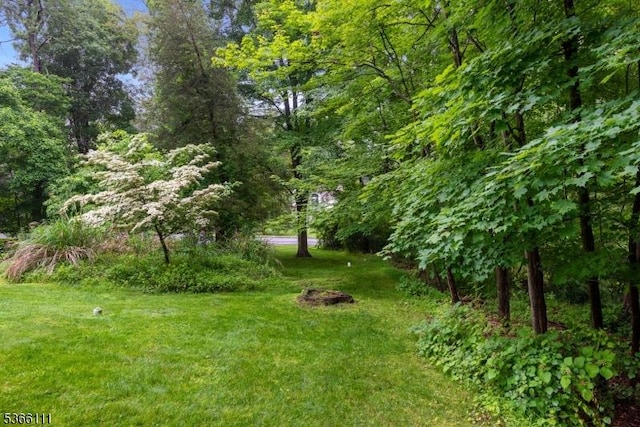 1 Lee Hill Rd, Byram Twp, NJ 07821 - view of grassy yard