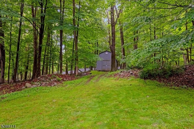 1 Lee Hill Rd, Byram Twp, NJ 07821 - view of green lawn featuring a storage unit and a forest view