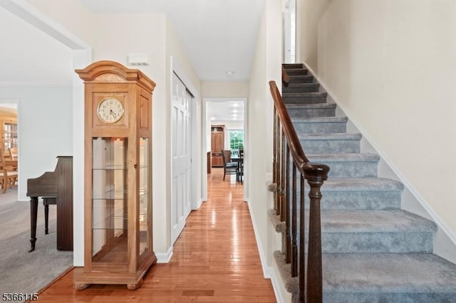 10 Cedarview Ct, Hillsborough Twp, NJ 08844 - stairway with wood finished floors