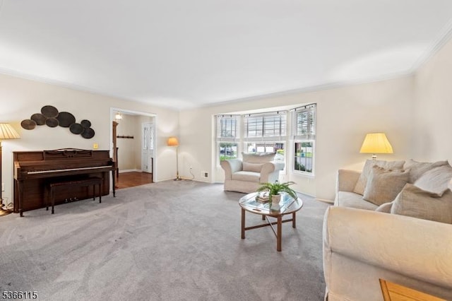 10 Cedarview Ct, Hillsborough Twp, NJ 08844 - living room with carpet floors and ornamental molding
