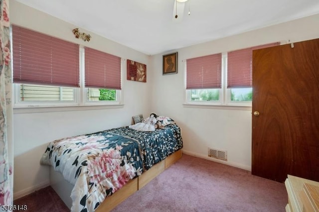 26 Mitchell St, Belleville Twp, NJ 07109 - bedroom with multiple windows and carpet floors
