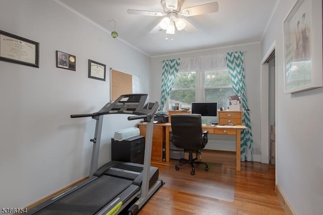 105 Rolling Acres Dr, Hampton Twp, NJ 07860 - office space with a ceiling fan, light wood-style flooring, and crown molding