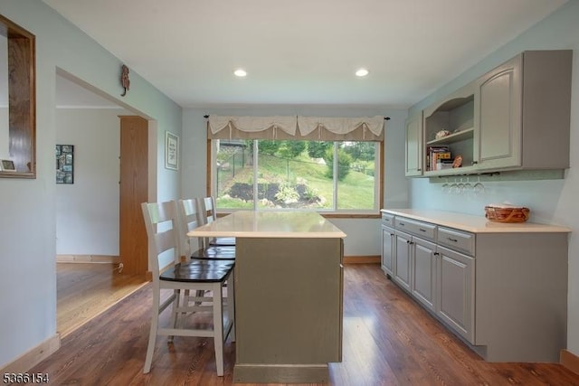 105 Rolling Acres Dr, Hampton Twp, NJ 07860 - kitchen featuring gray cabinetry, dark wood-style flooring, open shelves, light countertops, and recessed lighting