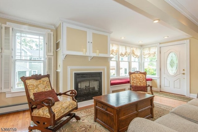 6 Mc Clintock Pl, Parsippany-Troy Hills Twp, NJ 07878 - living room featuring plenty of natural light, light wood-type flooring, a glass covered fireplace, and crown molding