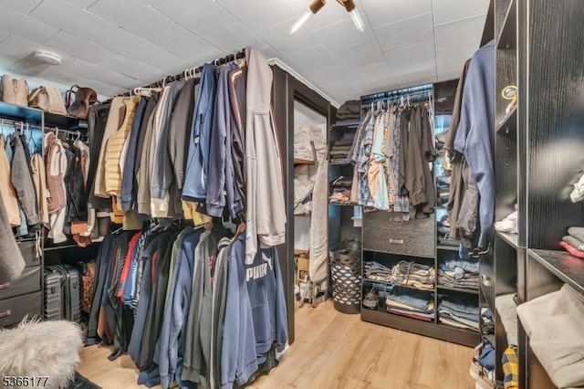 24 Roxbury Dr, Roxbury Twp, NJ 07847 - spacious closet with wood finished floors