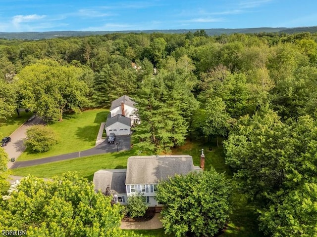 2 Kerry Pl, Mount Olive Twp, NJ 07836 - view of subject property featuring a heavily wooded area