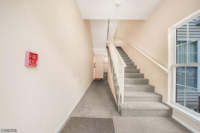 2112 Schindler Ln, Wayne Twp, NJ 07470 - stairway featuring carpet flooring