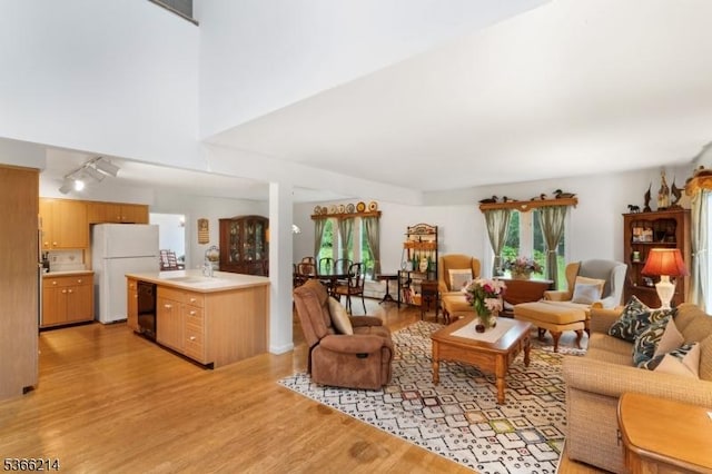33 Kings Hwy, Washington Twp, NJ 07853 - living room featuring light wood finished floors and track lighting