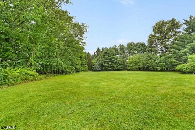 33 Kings Hwy, Washington Twp, NJ 07853 - view of grassy yard with a view of trees