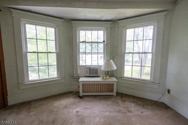 48 Keller Ave, Rockaway Boro, NJ 07866 - unfurnished room with cooling unit, radiator heating unit, plenty of natural light, and carpet floors