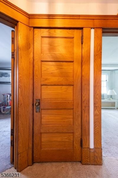 48 Keller Ave, Rockaway Boro, NJ 07866 - detailed view of carpet