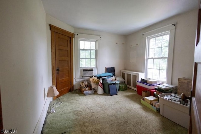 48 Keller Ave, Rockaway Boro, NJ 07866 - interior space with carpet flooring and cooling unit