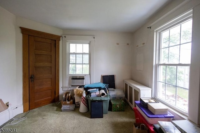 48 Keller Ave, Rockaway Boro, NJ 07866 - living area with plenty of natural light, carpet floors, and cooling unit