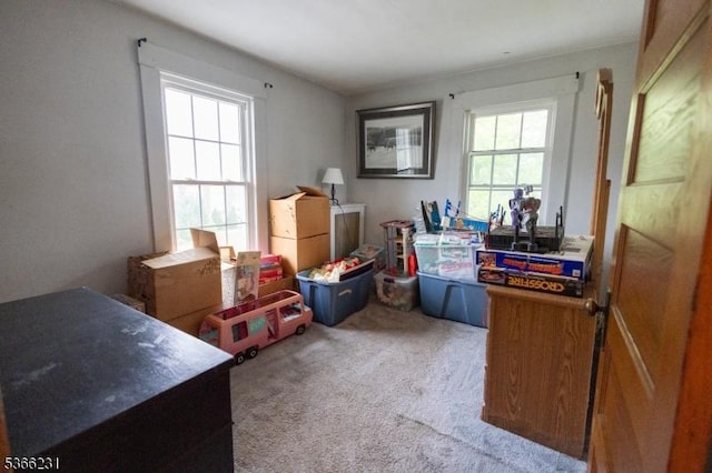 48 Keller Ave, Rockaway Boro, NJ 07866 - home office with carpet