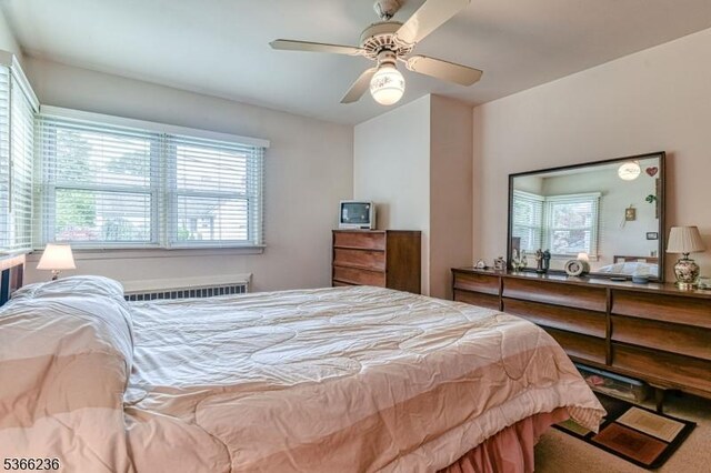 21 Academy Ter, Linden City, NJ 07036 - bedroom featuring multiple windows and radiator heating unit