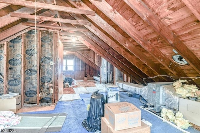 21 Academy Ter, Linden City, NJ 07036 - view of unfinished attic