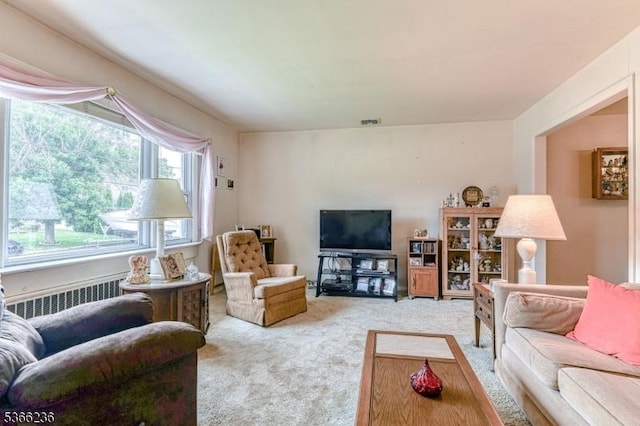 21 Academy Ter, Linden City, NJ 07036 - living room featuring radiator and carpet floors