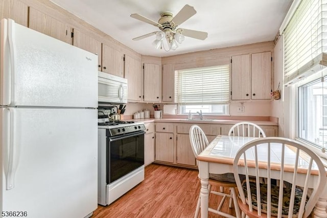 21 Academy Ter, Linden City, NJ 07036 - kitchen with white appliances, light countertops, light wood-type flooring, light brown cabinetry, and a ceiling fan