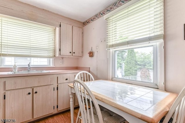 21 Academy Ter, Linden City, NJ 07036 - kitchen with plenty of natural light, light brown cabinets, and light countertops