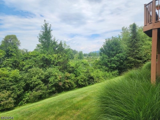 7-11 Maple Cres Unit 11, Vernon Twp, NJ 07462 - view of yard