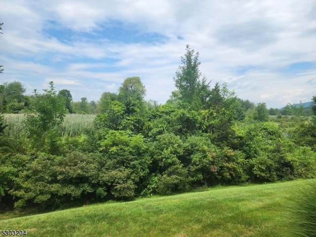 7-11 Maple Cres Unit 11, Vernon Twp, NJ 07462 - view of yard