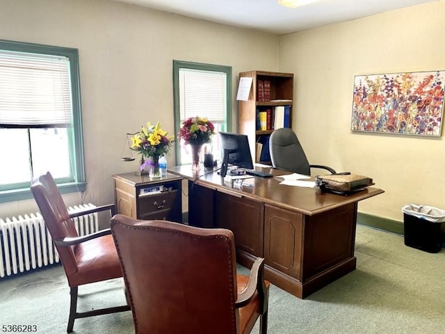51 High St, Newton Town, NJ 07860 - office area featuring light carpet and radiator