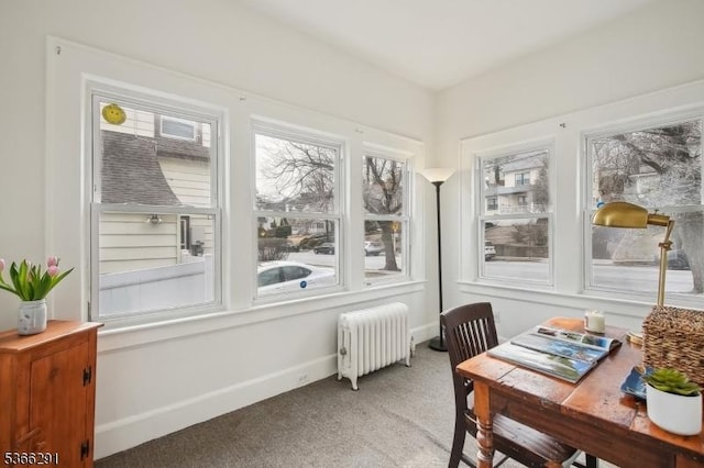 64 Rollinson St, West Orange Twp, NJ 07052 - sunroom / solarium with radiator heating unit