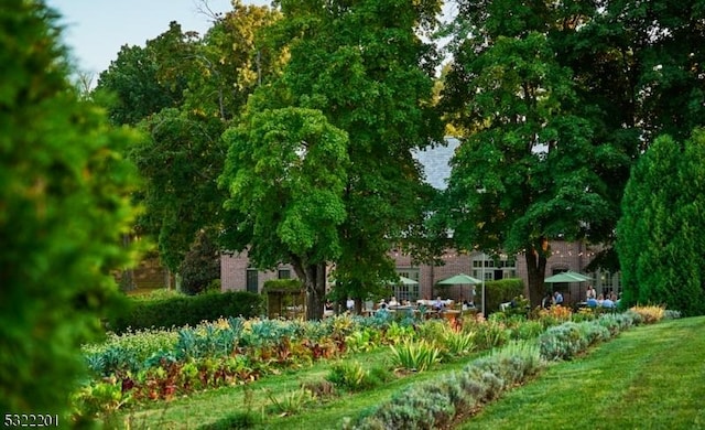 41 Abby Rd, Peapack Gladstone Boro, NJ 07977 - view of community