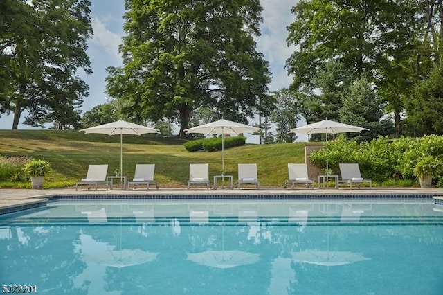 41 Abby Rd, Peapack Gladstone Boro, NJ 07977 - view of swimming pool with a yard