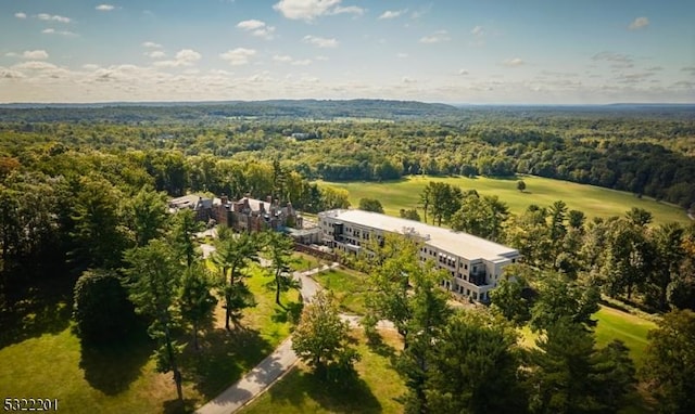 41 Abby Rd, Peapack Gladstone Boro, NJ 07977 - bird's eye view of a heavily wooded area