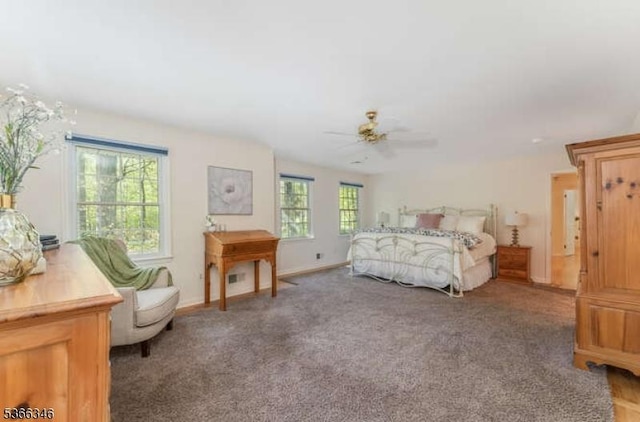 1 Craig Rd, Clinton Twp, NJ 08801 - bedroom with carpet floors and ceiling fan