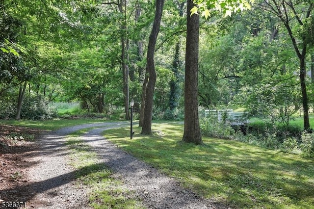 924 Maurice Ave, Rahway City, NJ 07065 - view of dirt / gravel road with a wooded view