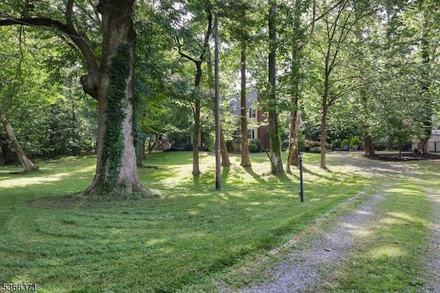 924 Maurice Ave, Rahway City, NJ 07065 - view of grassy yard
