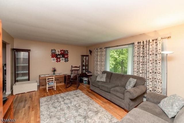 8 Ridge Rd, Independence Twp, NJ 07840 - living area featuring wood finished floors and a baseboard radiator