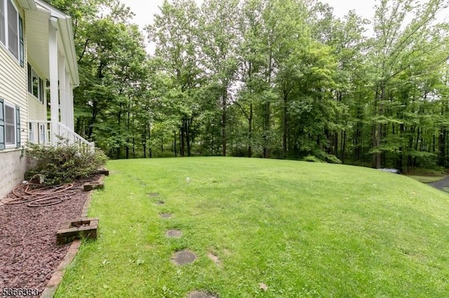 8 Ridge Rd, Independence Twp, NJ 07840 - view of green lawn