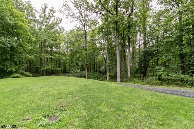 8 Ridge Rd, Independence Twp, NJ 07840 - view of grassy yard featuring a wooded view