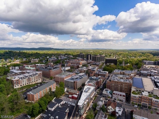 26 Gerhard, Morris Twp, NJ 07960 - drone / aerial view