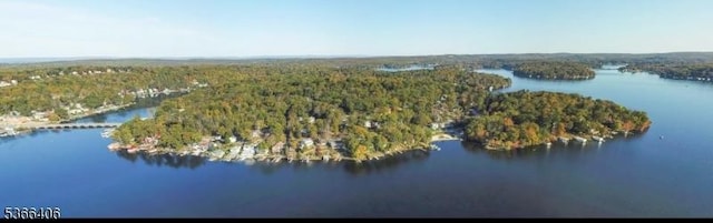 17 Frances Ave, Hopatcong Boro, NJ 07874 - drone / aerial view of a nearby body of water