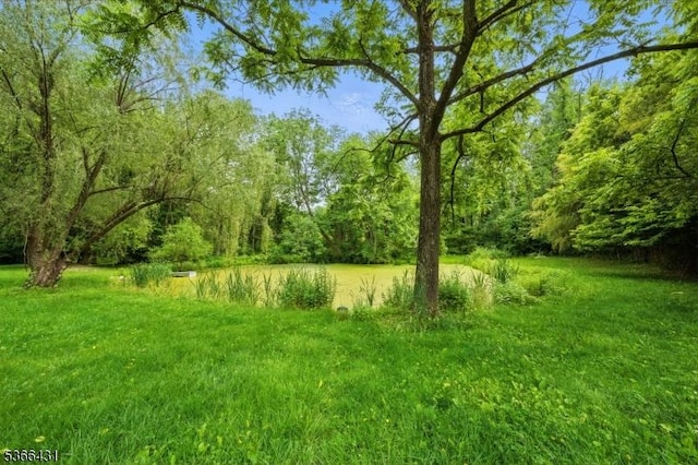 240 Free Union Rd, Liberty Twp, NJ 07838 - view of yard with a wooded view