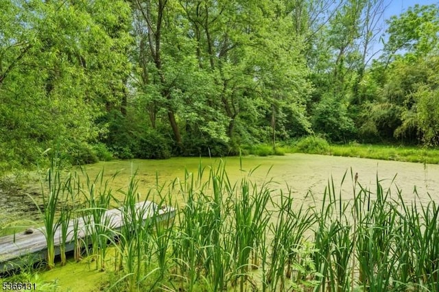 240 Free Union Rd, Liberty Twp, NJ 07838 - view of yard