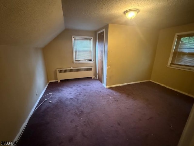 1221 Union St, Linden City, NJ 07036 - additional living space featuring radiator, a textured ceiling, carpet flooring, vaulted ceiling, and healthy amount of natural light