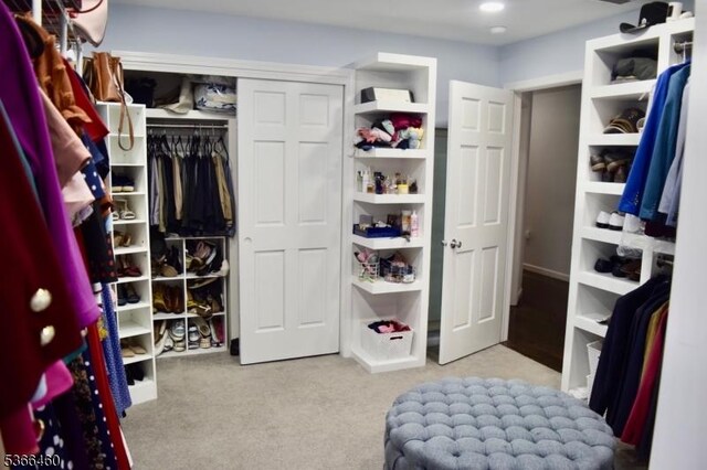 710 County Road 513, Alexandria Twp, NJ 08867 - spacious closet with carpet floors