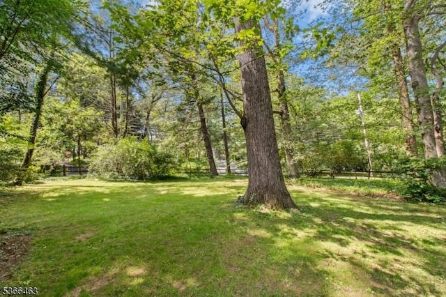 10 Cross Way, New Providence Boro, NJ 07974 - view of grassy yard