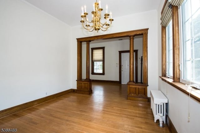 219 Magie Ave, Roselle Park Boro, NJ 07204 - spare room featuring plenty of natural light, light wood-type flooring, radiator, and a chandelier