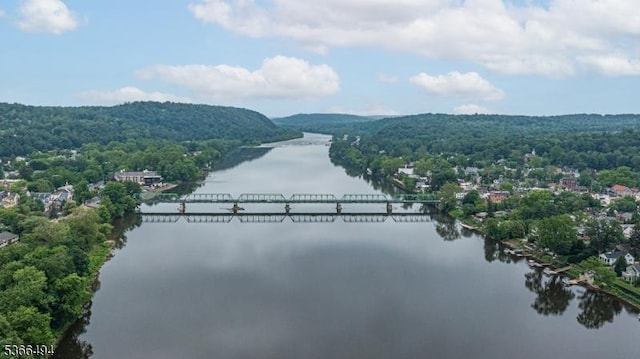 151 N Union St Unit 6, Lambertville City, NJ 08530 - water view featuring a heavily wooded area